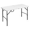 Catering Klapptisch 120 x 60 x 74 cm ROJAPLAST 612/2