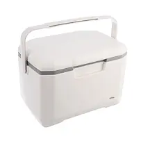 Kühlbox 5 l ORION 127314