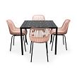 Garten-Essgruppe – Tisch Viking M + 4x Stuhl Gaby, rosa NOELA 34570498Z