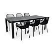 Garten-Essgruppe – Tisch Viking XL + 8x Sessel Gaby, schwarz NOELA 3457051182