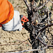 Ergonomische Gartenschere BAHCO PX-M2