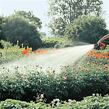 gardena-sb-profi-postrikovaci-sprcha-2847-20-.jpg