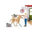 Schleich Tierärztliche Klinik für Haustiere 102642502