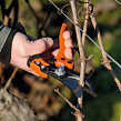 Ergonomische Gartenschere BAHCO PX-M2