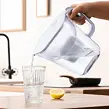 Carbo Wasserfilterkanne, 3 l, Kunststoff, weiß ORION 156019