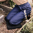 1062832-2.jpg