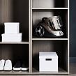 Compact Power XXL 900W Parquet beutelloser Staubsauger, schwarz/beige ROWENTA RO4B30EA