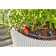 MDS Start-Set für Terrassen 30 Pflanzen GARDENA 13400-20